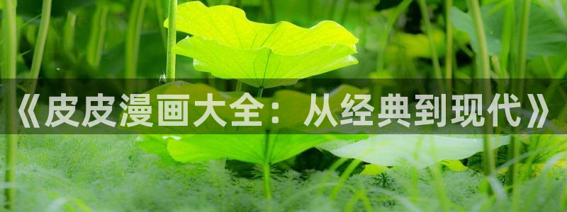 歪歪漫画韩漫sss：《皮皮漫画大全：从经典到现代》